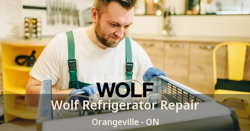 Wolf Refrigerator Repair Orangeville - ON