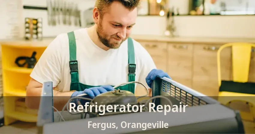 Refrigerator Repair Fergus, Orangeville - ON