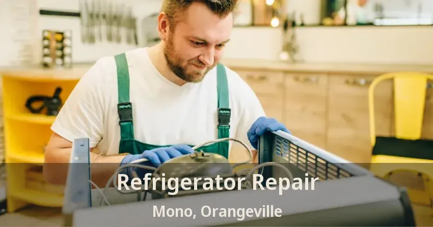 Refrigerator Repair Mono, Orangeville - ON
