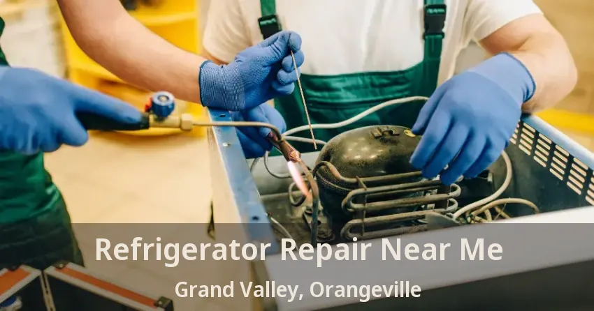 Refrigerator Repair Near Me Grand Valley, Orangeville - ON