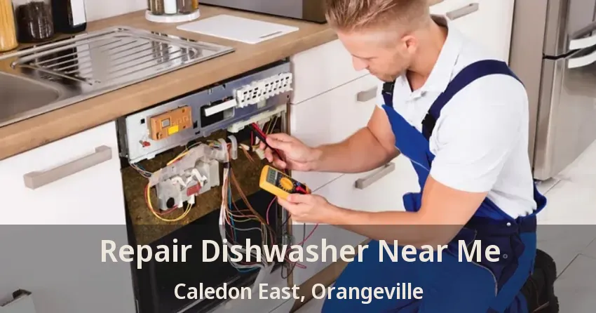 Repair Dishwasher Near Me Caledon East, Orangeville - ON