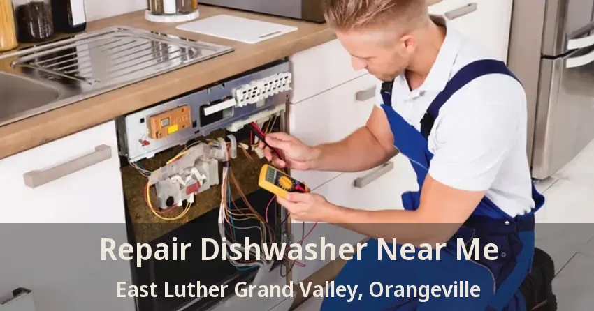 Repair Dishwasher Near Me East Luther Grand Valley, Orangeville - ON