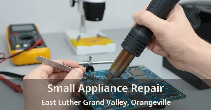 Small Appliance Repair East Luther Grand Valley, Orangeville - ON