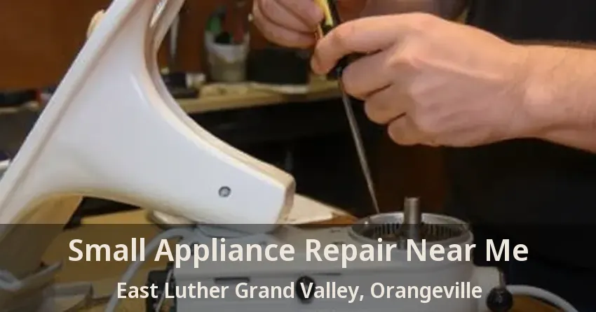 Small Appliance Repair Near Me East Luther Grand Valley, Orangeville - ON