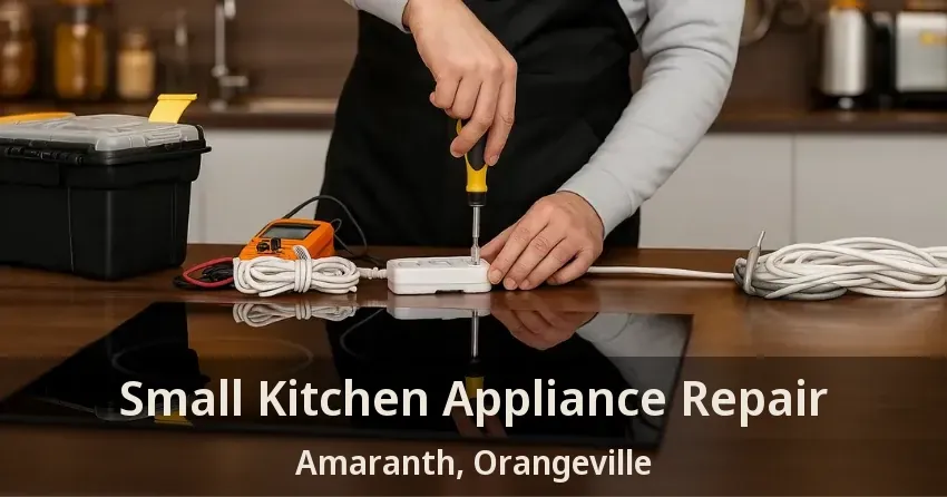 Small Kitchen Appliance Repair Amaranth, Orangeville - ON