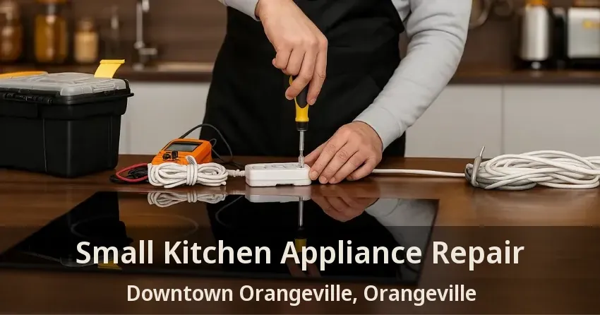 Small Kitchen Appliance Repair Downtown Orangeville, Orangeville - ON