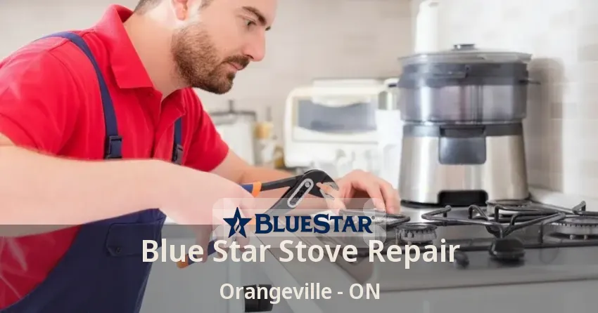 Blue Star Stove Repair Orangeville - ON