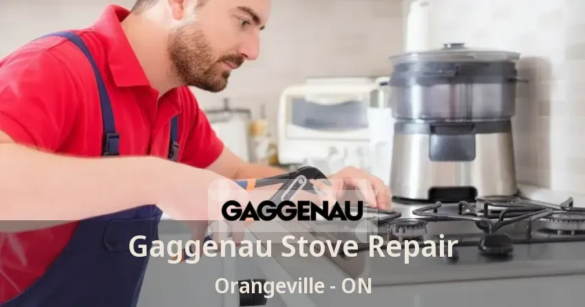 Gaggenau Stove Repair Orangeville - ON