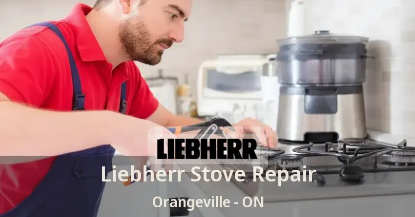 Liebherr Stove Repair Orangeville - ON