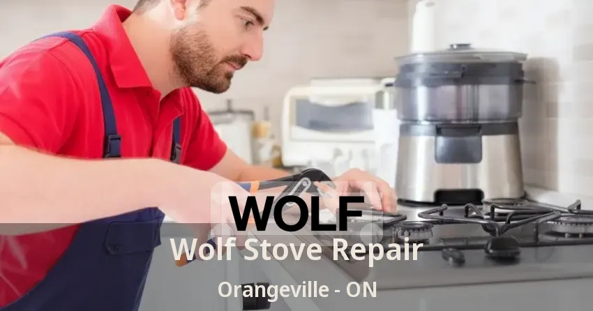 Wolf Stove Repair Orangeville - ON
