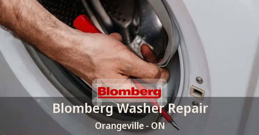 Blomberg Washer Repair Orangeville - ON