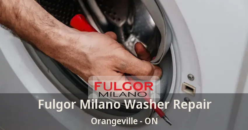 Fulgor Milano Washer Repair Orangeville - ON