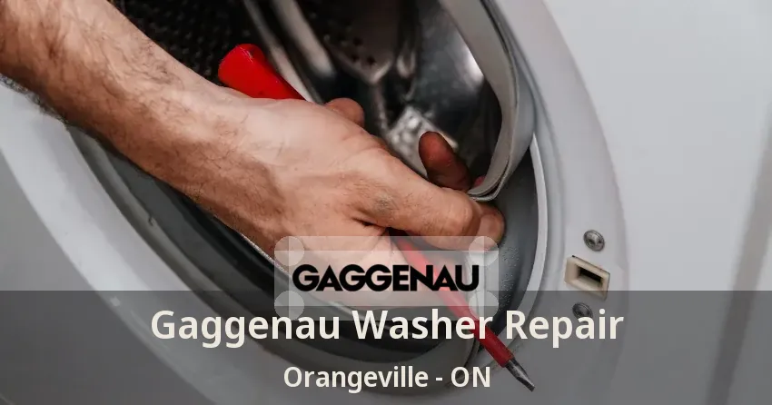 Gaggenau Washer Repair Orangeville - ON