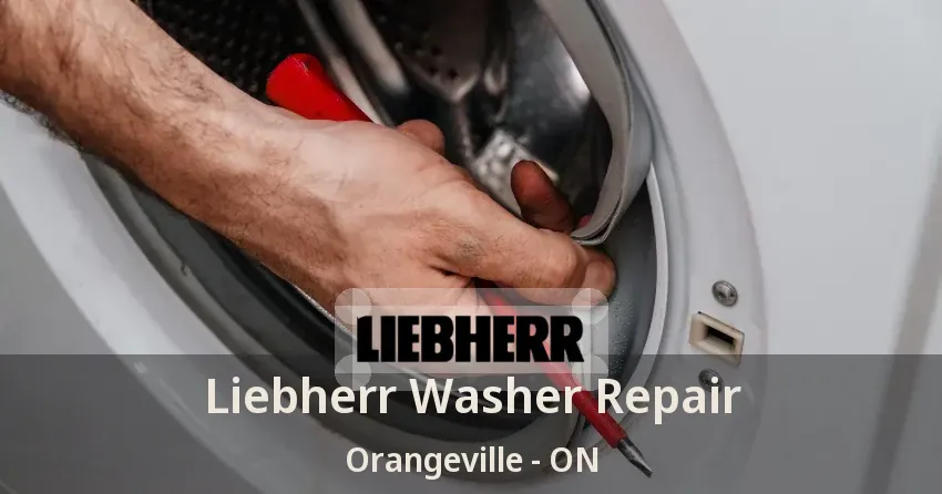 Liebherr Washer Repair Orangeville - ON