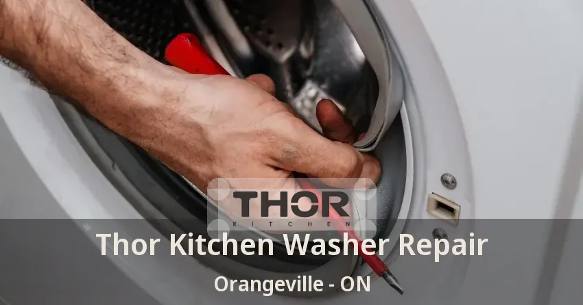 Thor Kitchen Washer Repair Orangeville - ON
