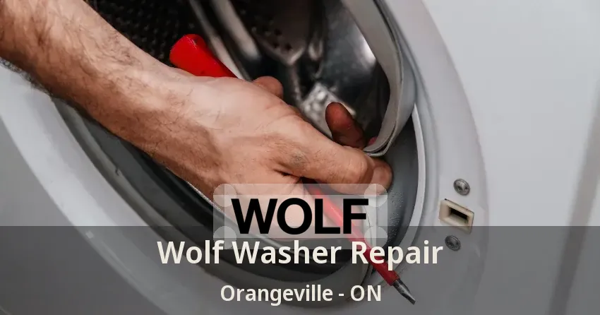 Wolf Washer Repair Orangeville - ON