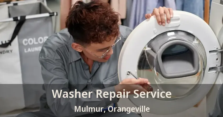 Washer Repair Service Mulmur, Orangeville - ON
