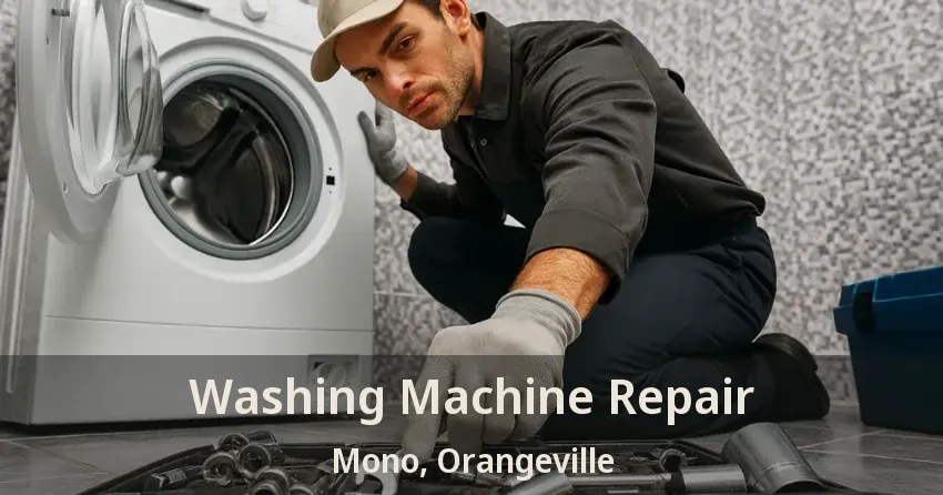 Washing Machine Repair Mono, Orangeville - ON